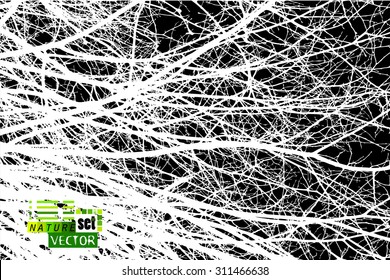 Tree branches background. Vector