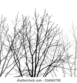 Tree branches background. Vector