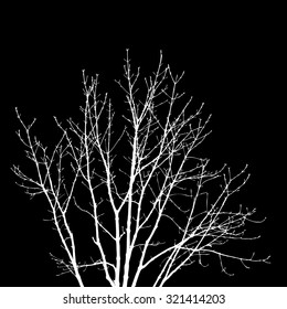 Tree branches background. Vector