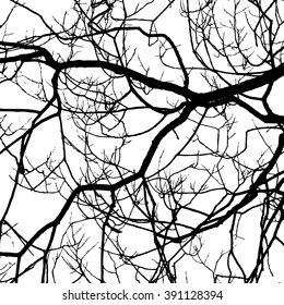 Tree branches background. Vector