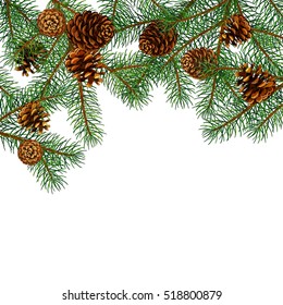 Tree Branches Border. Vector Illustration. Design element for winter. winter holiday. Fir tree branches. Coniferous sprouts. decoration, winter holiday, design, new year's.