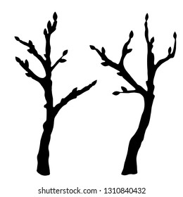 Tree branches with buds. Black silhouettes. Hand drawn isolated on white background set