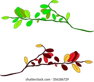 Tree branches with colorful leaves.