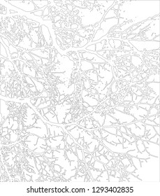 Tree branches contour, abstract branch outlines on a white background
