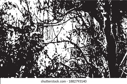 Tree branches. Design element. Background texture, vector illustration.