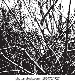 Tree branches. Design element. Background texture, vector illustration.