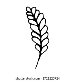 tree branches, eucalyptus, palm leaves, herbs and flowers silhouettes.Hand drawn vector frame. Floral wreath with leaves for wedding and holiday. Decorative elements for design. Isolated. doodles