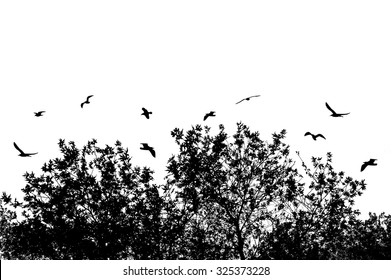 Tree and branches with flying birds on white with space for your text, vector illustration