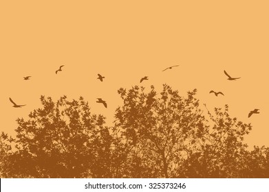 Tree and branches with flying birds on orange with space for your text, vector illustration