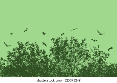 Tree and branches with flying birds on green with space for your text, vector illustration