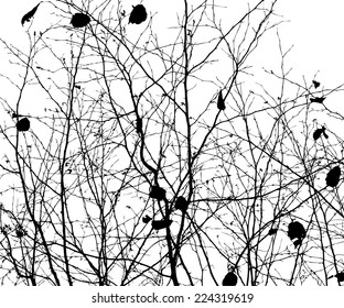 tree branches forest. Vector