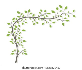 Tree branches in the form of an arch with green leaves and a shadow on a white background