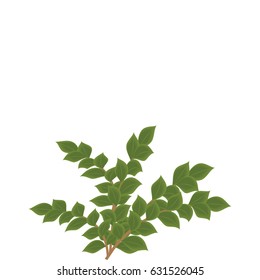 Tree branches green isolated on background white art abstract modern creative vector