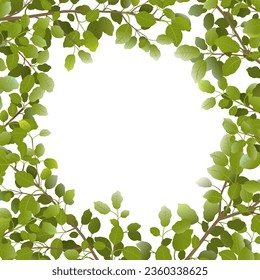 Tree branches with green leaves around edge of picture. Frame from plants. object isolated on white background. Vector
