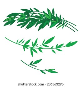 Tree branches with green leaves - nature