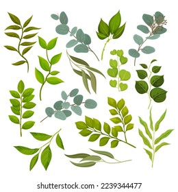 Tree branches with green leaves set. Twigs of different trees cartoon vector
