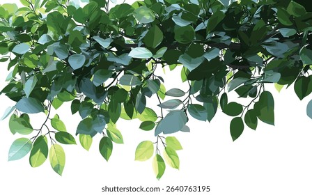 Tree branches greenery, foliage leaves, forest tree, large forestry leaves, natural branches, green tree foliage, vibrant forestry, outdoor leaves, nature green foliage, lush tree branches