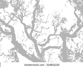 Tree branches/ Grunge background texture/ Design elements/ Vector illustration