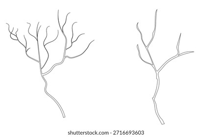 Icono de ramas de árbol. aislado sobre fondo blanco. Ilustración vectorial. EPS 10