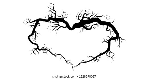 tree branches isolated