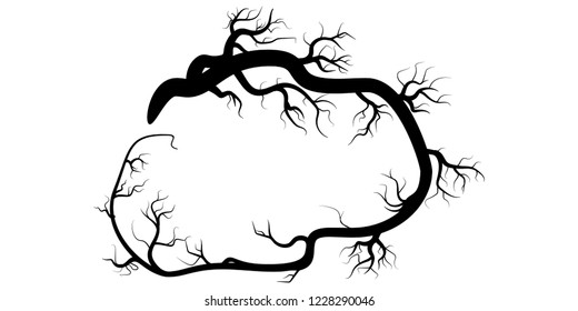 tree branches isolated