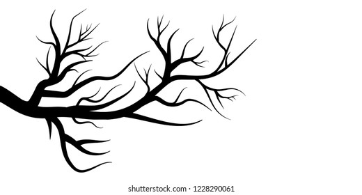 tree branches isolated