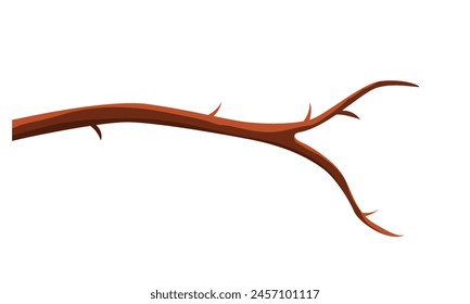 tree branches isolated on white background.