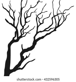 Tree branches isolated on the white background.