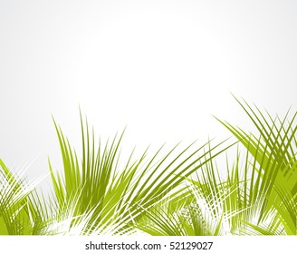 tree branches isolated on white background with space of your text, vector illustration