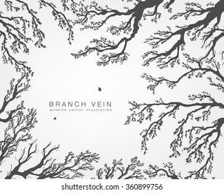 tree branches with leaves and forest on a white background