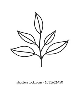 
Tree branches and leaves icon vector design illustration