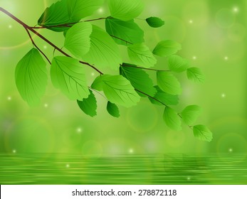Tree branches with leaves over the water and reflections