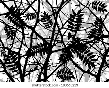 tree branches with leaves. Vector 