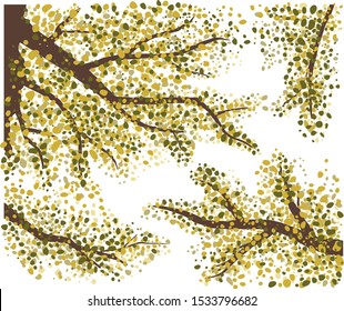 Tree branches and leaves. Yellow leaf canopy.