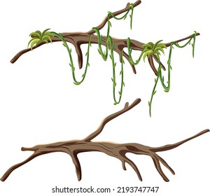 Tree branches with liana isolated illustration