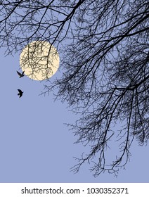Tree branches in a moonlit night