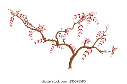 Tree Branches Nature Element