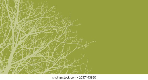 tree branches on green background
