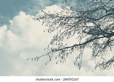 Tree branches over cloudy sky, vector