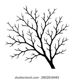 Tree Branches Reaching for Sky Silhouette representing tree branches reaching for sky, suitable for clean vector graphics, signage, presentations, web design, and commercial projects