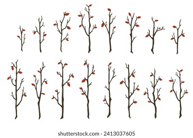 Tree branches set. Hand drawn bare wood sticks with few red leaves vector illustration. Thin forest trees silhouettes isolated on white background. Leaf abscission