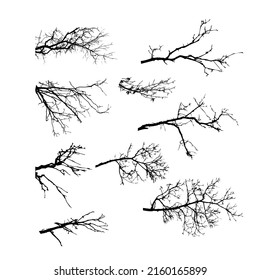 Tree branches set. Vector illustration