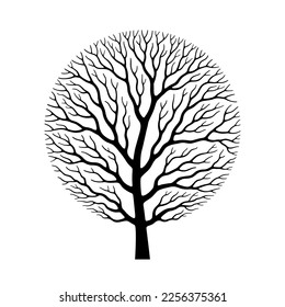 Tree with branches shaped like circle, without leaves, black silhouette over white background. Creative decorative design element