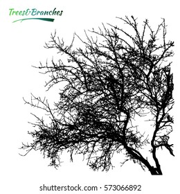 Tree and branches silhouette. Apricot tree. Detailed vector illustration.