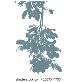 tree and branches silhouette. detailed vector illustration. Isolated drawing on white background.