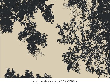 tree and branches silhouette. detailed vector illustration