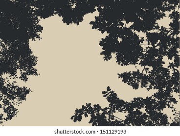 tree and branches silhouette. detailed vector illustration