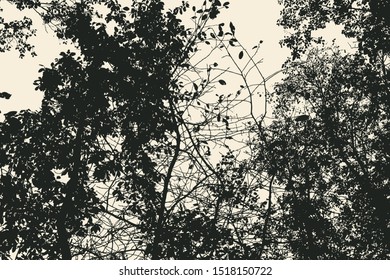 tree and branches silhouette. detailed vector illustration