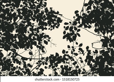 tree and branches silhouette. detailed vector illustration