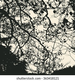 tree and branches silhouette. detailed vector illustration
